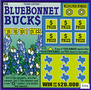 Bluebonnet Buck$ (Issue #2)
