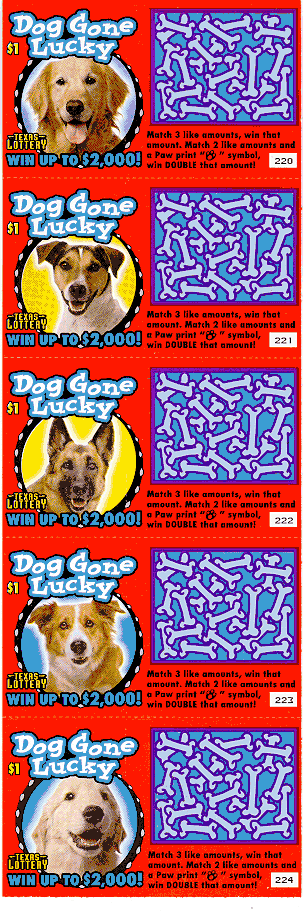 Dog Gone Lucky
