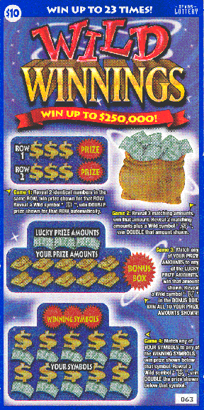 Wild Winnings (#1)